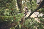 Трион верижен акумулаторен STIHL MSA 220 T – система AP - Image 3