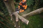 Трион верижен акумулаторен STIHL MSA 220 TC-O – система AP - Image 3