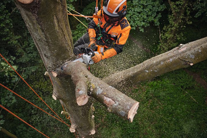 akumulatoren-verijen-trion-stihl-msa-220-t-sistema-ap-5.jpg Трион верижен акумулаторен STIHL MSA 220 TC-O със зарядно AL 301 и батерия AP 300 S - Image 1